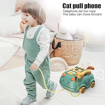 Happy Cat Walk & Talk